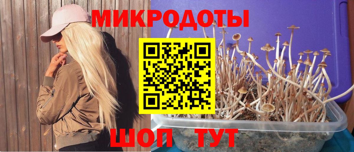 Ишимбай  Псилоцибиновые грибы Cubensis  Вход с VPN 